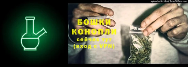 ECSTASY Дмитров