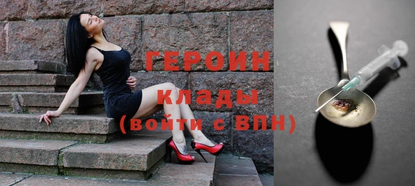 стафф Дмитриев