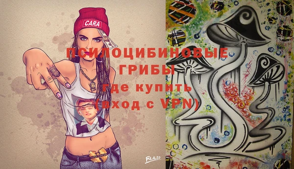стафф Дмитриев