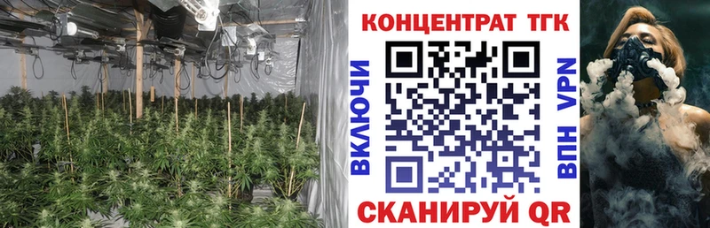 ТГК концентрат  Купить  Елабуга 